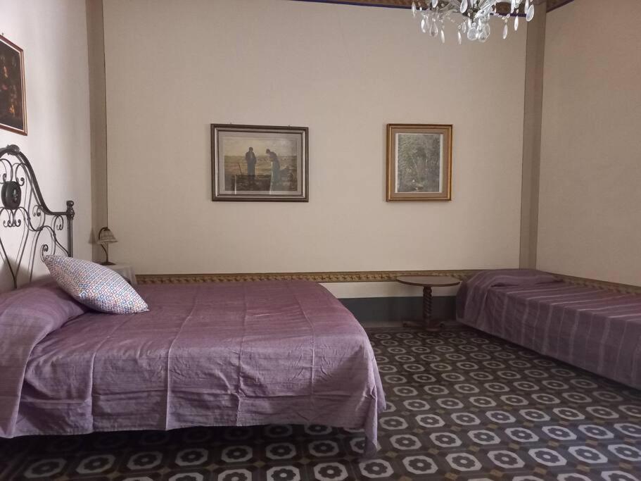 La Casa Maestri A Cetona 빌라 외부 사진