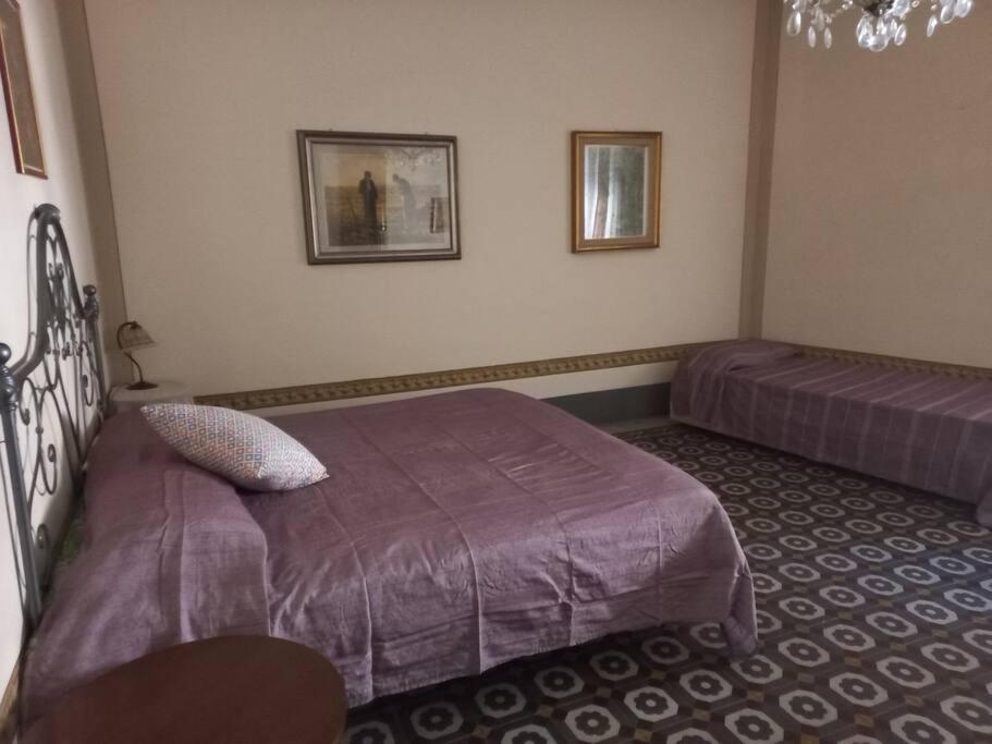 La Casa Maestri A Cetona 빌라 외부 사진